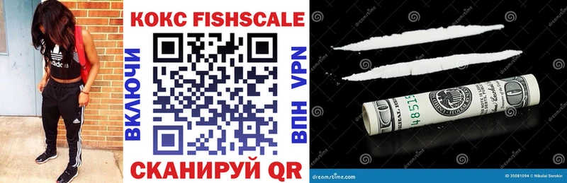COCAIN Fish Scale  закладки  Гатчина 