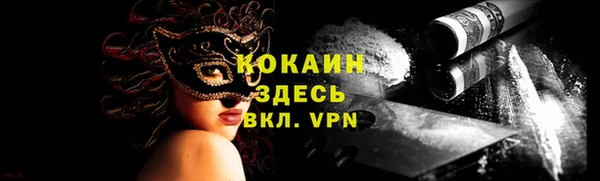 ПСИЛОЦИБИНОВЫЕ ГРИБЫ Верея