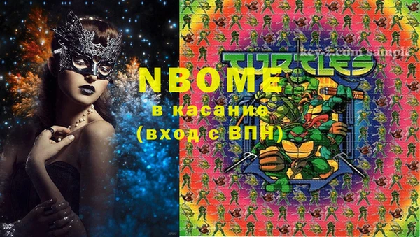 ПСИЛОЦИБИНОВЫЕ ГРИБЫ Верея