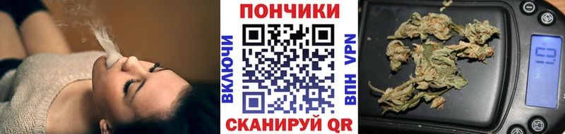 Канабис гибрид  Гатчина 